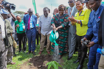 Area MP Kathamb plant tree at egerton 1